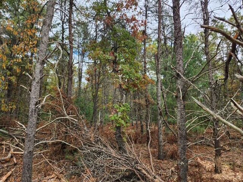 Photo of Parcel T 12th Street, Baldwin, MI 49304 (MLS # 25052703)