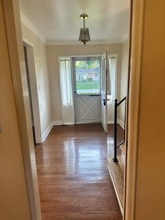 6709 Wild Ridge Lane