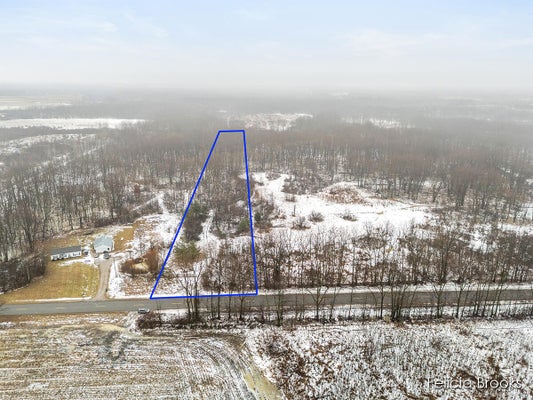 17590 PINE LAKE AVE, SAND LAKE, MI 49343 - Image 5591c75bcd9318e72646df65cd4fed56/3936780972