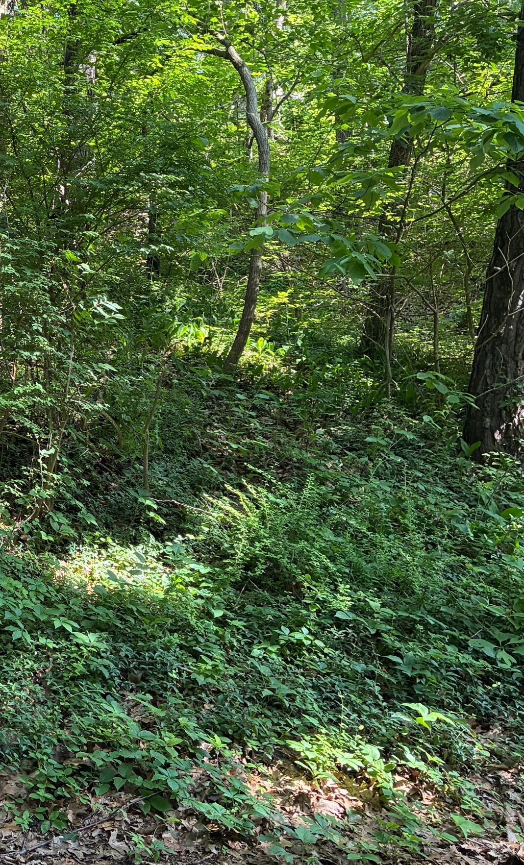 Grand Beach, Michigan 49117, United States, ,Land,Active,165232