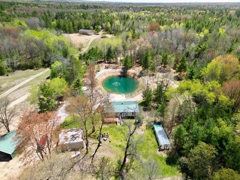 Photo of 1255 E Chickadee Lane, Luther, MI 49656 (MLS # 25044289)