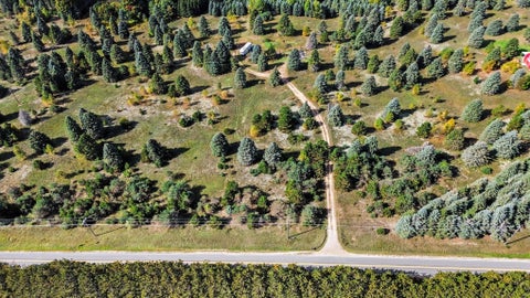 Photo for 17194 Litzen Road