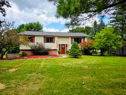 Photo of 808 Rolling Meadows Drive, Quincy, MI 49082 (MLS # 25045790)