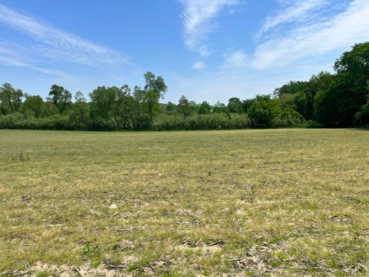 108TH ST, BYRON CENTER, MI 49315 - Image 572d1254a8c101b7e2d817c683f8e84c/73279745