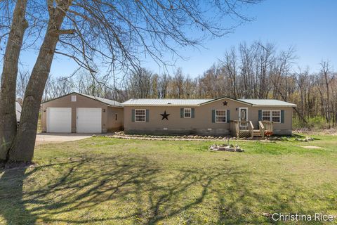 Photo of 1397 Youngs Road, Orleans, MI 48865 (MLS # 26017462)