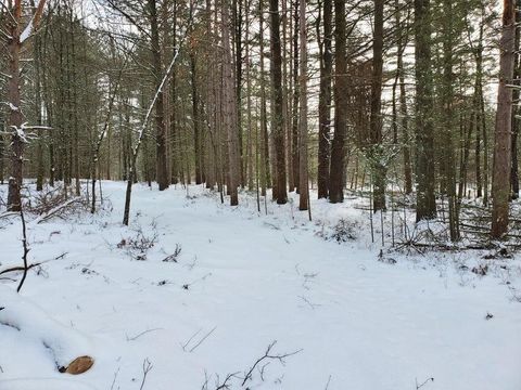 Photo of N 0 N Centerline Rd Road, Brohman, MI 49312 (MLS # 25003123)