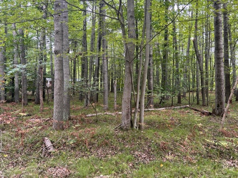 Photo for 8228 Tanglewood Trail