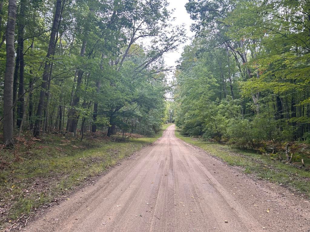 8228 Tanglewood Trail