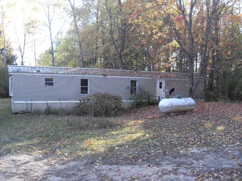 Photo of 4107 E White River Drive, Hesperia, MI 49421 (MLS # 25058793)