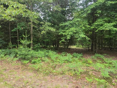 Photo of 2732 S 132nd Avenue, Shelby, MI 49455 (MLS # 26031631)