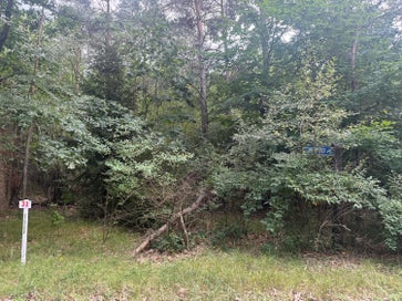 10181 Sherwood Circle Stanwood MI 49346