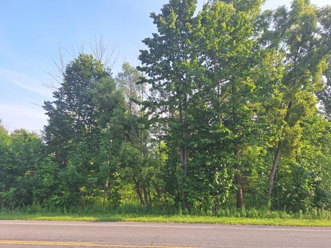 Photo for 00 VL 14 Mile Rd Road