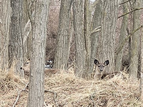 Photo of 0 Twelfth Street, Manistee, MI 49660 (MLS # 26011422)