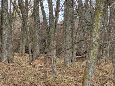 Photo of 0 Twelfth Street, Manistee, MI 49660 (MLS # 26011422)