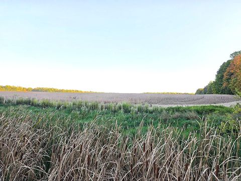 Photo of Wildt Highway, Bellevue, MI 49021 (MLS # 25051551)