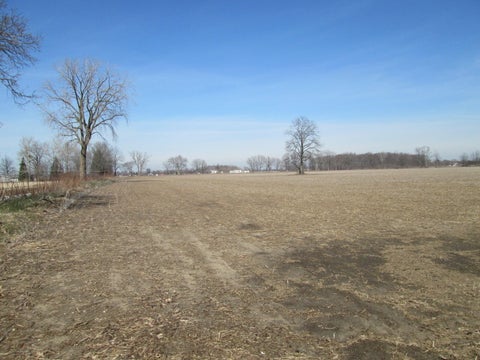 Photo for V/L W Lemon Creek Road