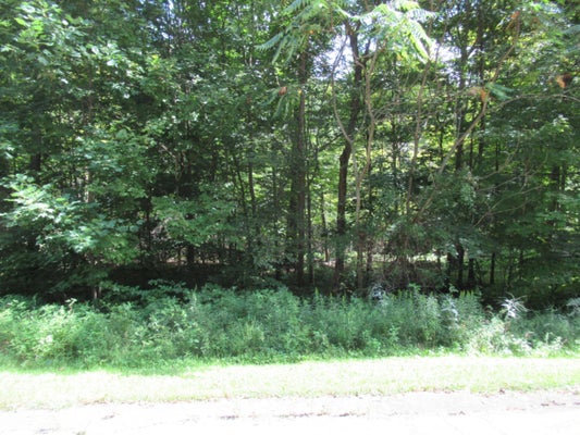 TRACT 6 BROOKSIDE COURT, CASSOPOLIS, MI 49031 - Image 5a95cc7e940c8f23e31e2c5eb851746d/3033041535