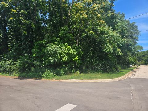 Photo of Pine Street, Stevensville, MI 49127 (MLS # 26000426)