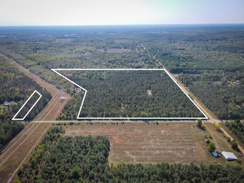 Photo of 2969 E Loop Road, Hesperia, MI 49421 (MLS # 25049793)