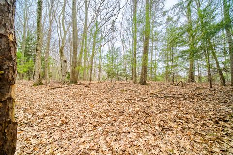 Photo of E Piney Road, Manistee, MI 49660 (MLS # 26018761)