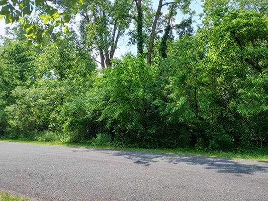 BRIARWOOD DR, OTSEGO, MI 49078 - Image 5bb3fa917e7ad9a3866aa53e115a685d/1961643403