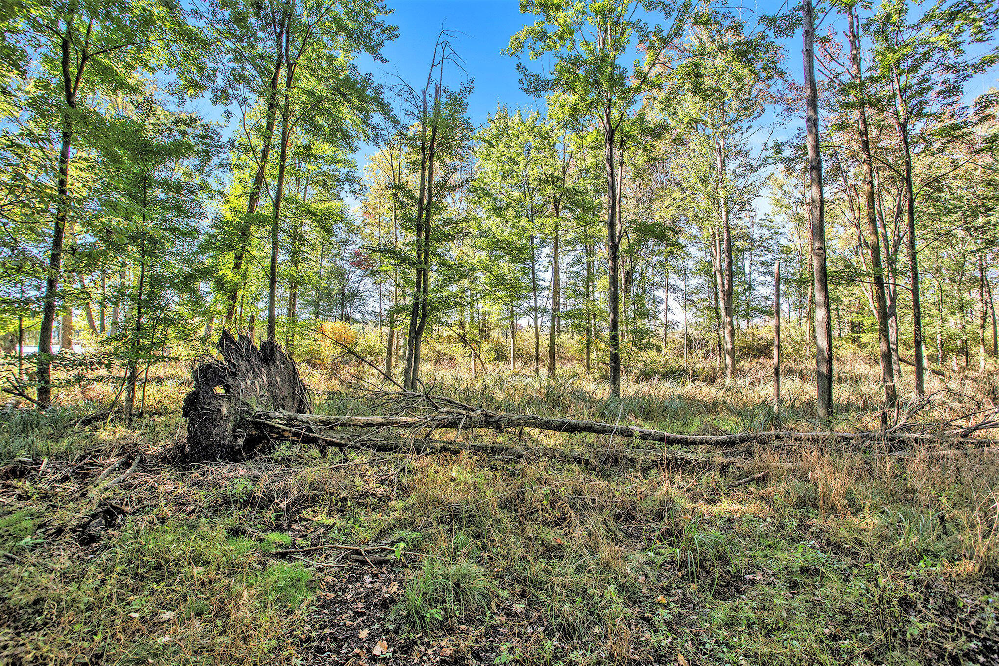 Vicksburg, Michigan 49097, United States, ,Land,Active,225555