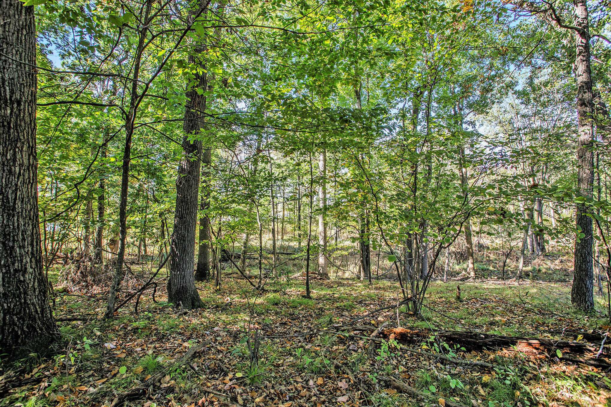 Vicksburg, Michigan 49097, United States, ,Land,Active,225555