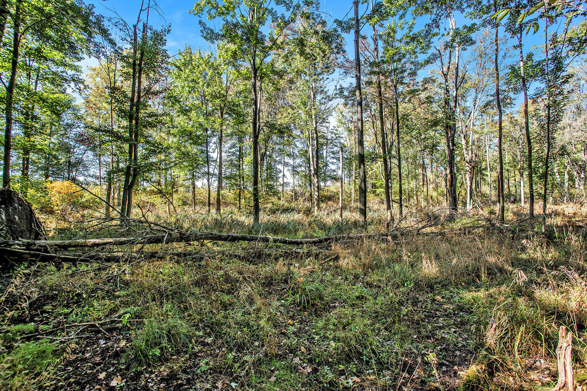 Vicksburg, Michigan 49097, United States, ,Land,Active,225555