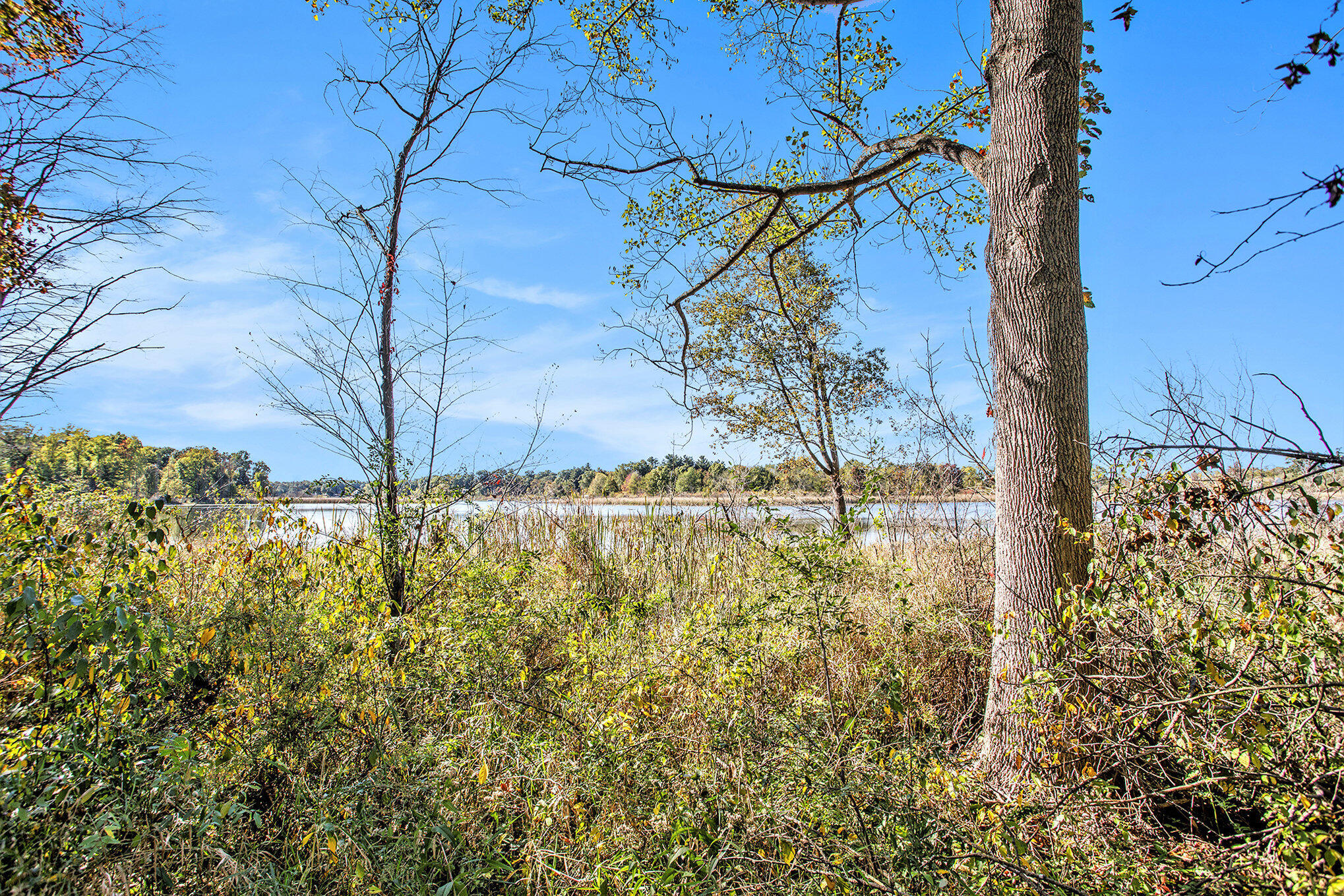 Vicksburg, Michigan 49097, United States, ,Land,Active,225555