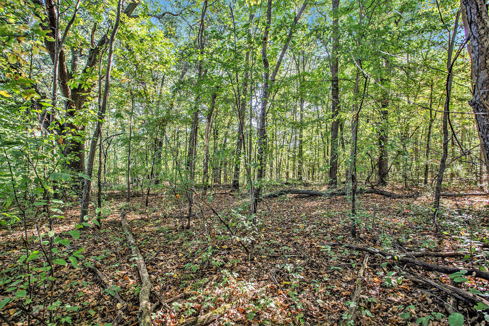 Vicksburg, Michigan 49097, United States, ,Land,Active,225555