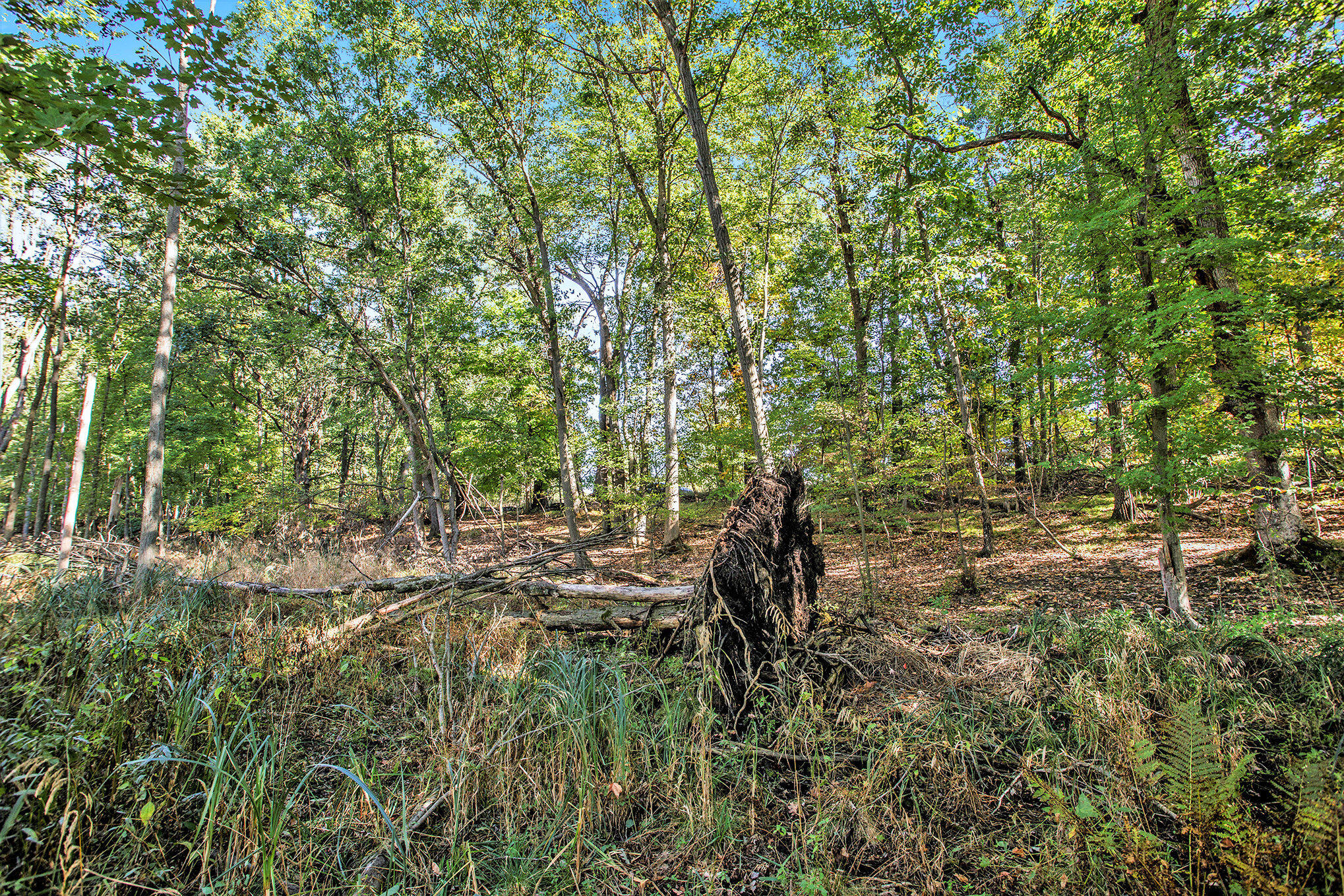 Vicksburg, Michigan 49097, United States, ,Land,Active,225555