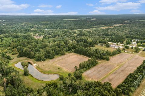 122 Acres Oceana Drive Hart MI 49420