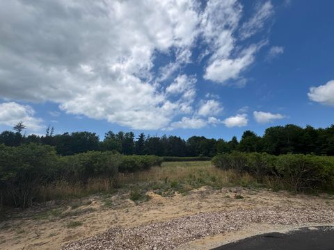 Photo of 6537 118th Ave #LOT D, Fennville, MI 49408 (MLS # 25037610)