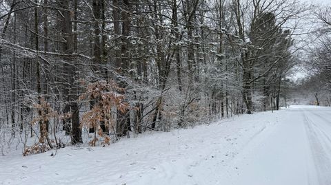 Photo of 6416 S Taylor Road, Branch, MI 49402 (MLS # 26007691)