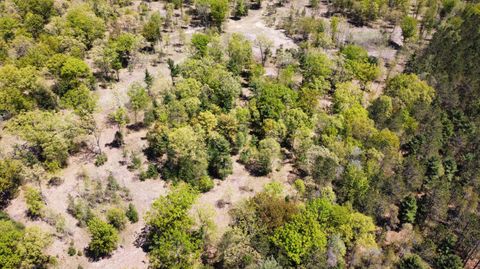 Photo of Red Apple Road, Manistee, MI 49660 (MLS # 24020764)