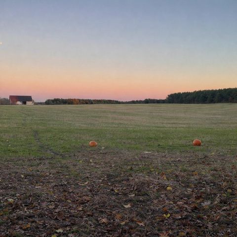 11661 75th Avenue Mecosta MI 49332