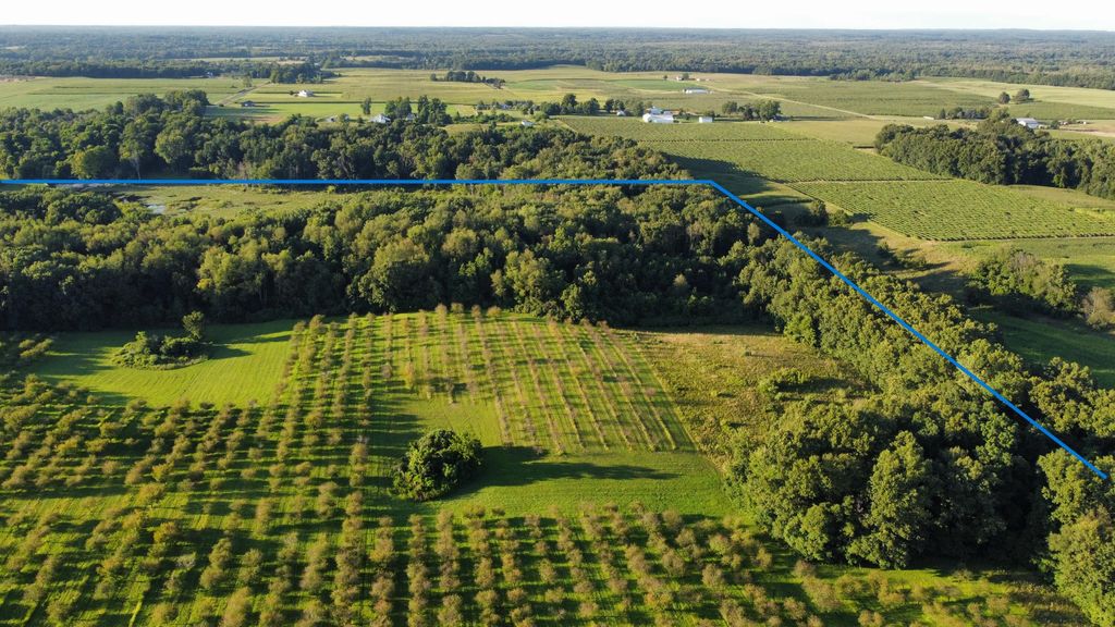 Photo of 44702 56th Avenue, Paw Paw, MI 49079 (MLS # 25056485)