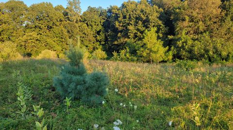 Photo of 44702 56th Avenue, Paw Paw, MI 49079 (MLS # 25056485)