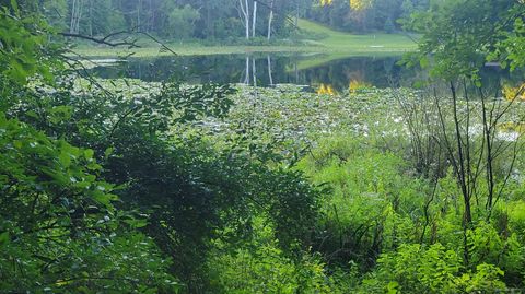 Photo of 44702 56th Avenue, Paw Paw, MI 49079 (MLS # 25056485)