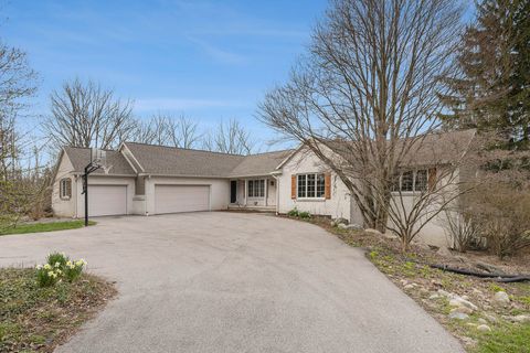 10159 E Rivershore Drive SE Alto MI 49302