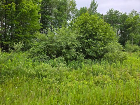 0 LAKE Road Barryton MI 49305