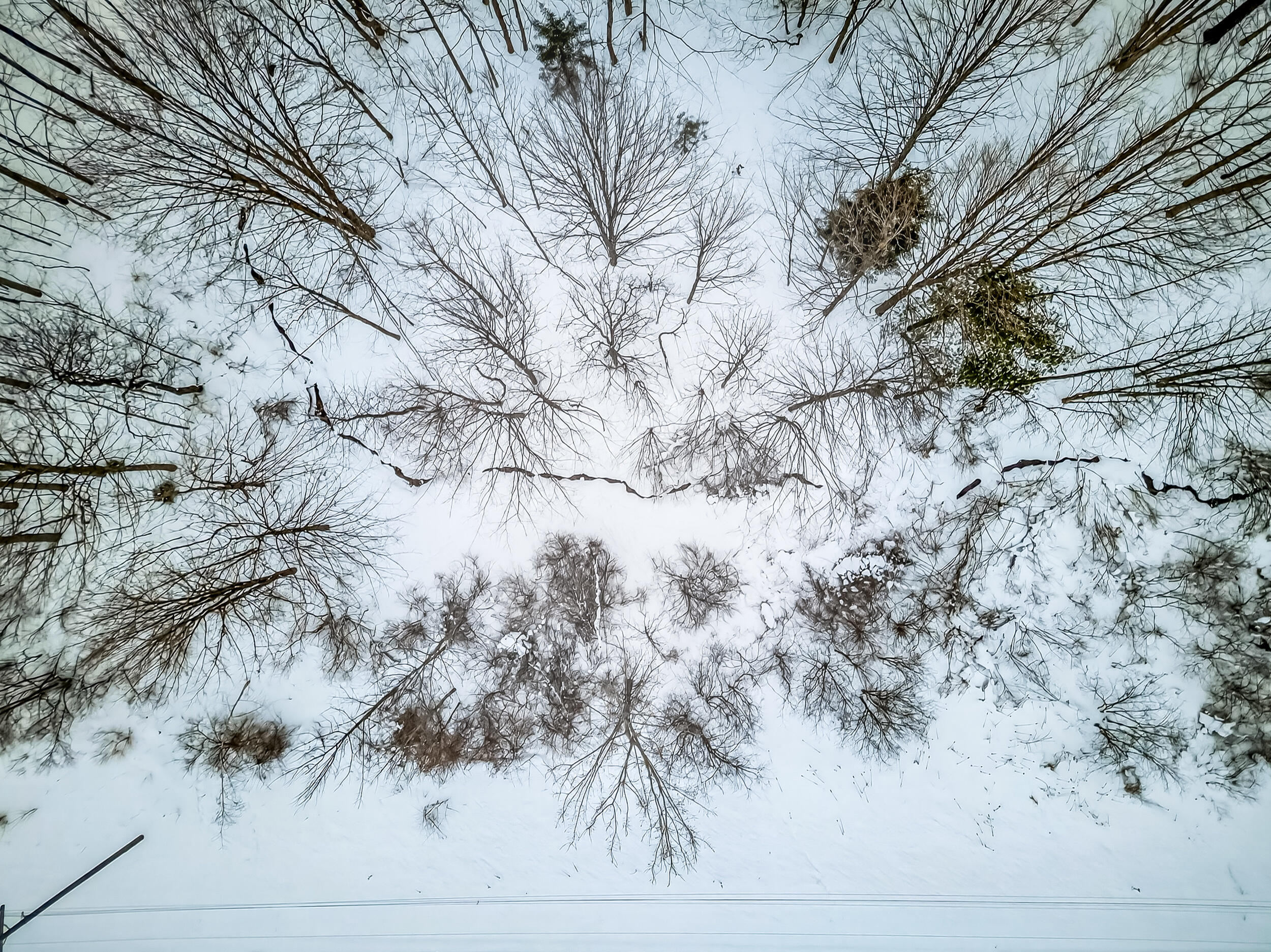 VL 11.1A W Webster Road