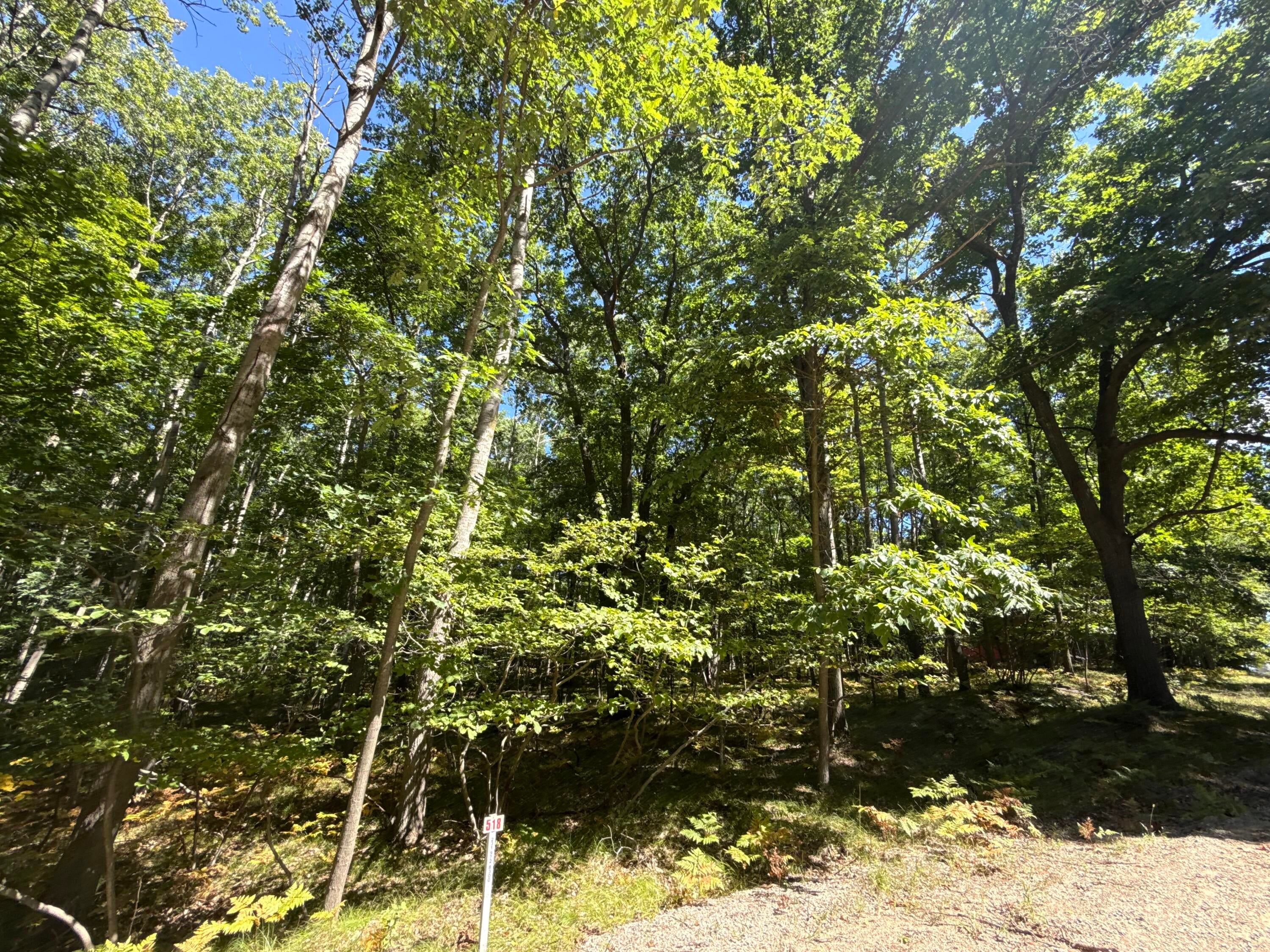 12090 Dubois Drive