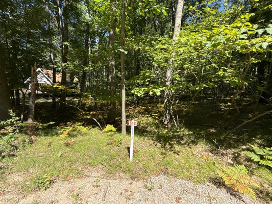 12090 DUBOIS DR, STANWOOD, MI 49346 - Image 6061ace0b220eb7d393c433b2ff8fd6b/2268364145