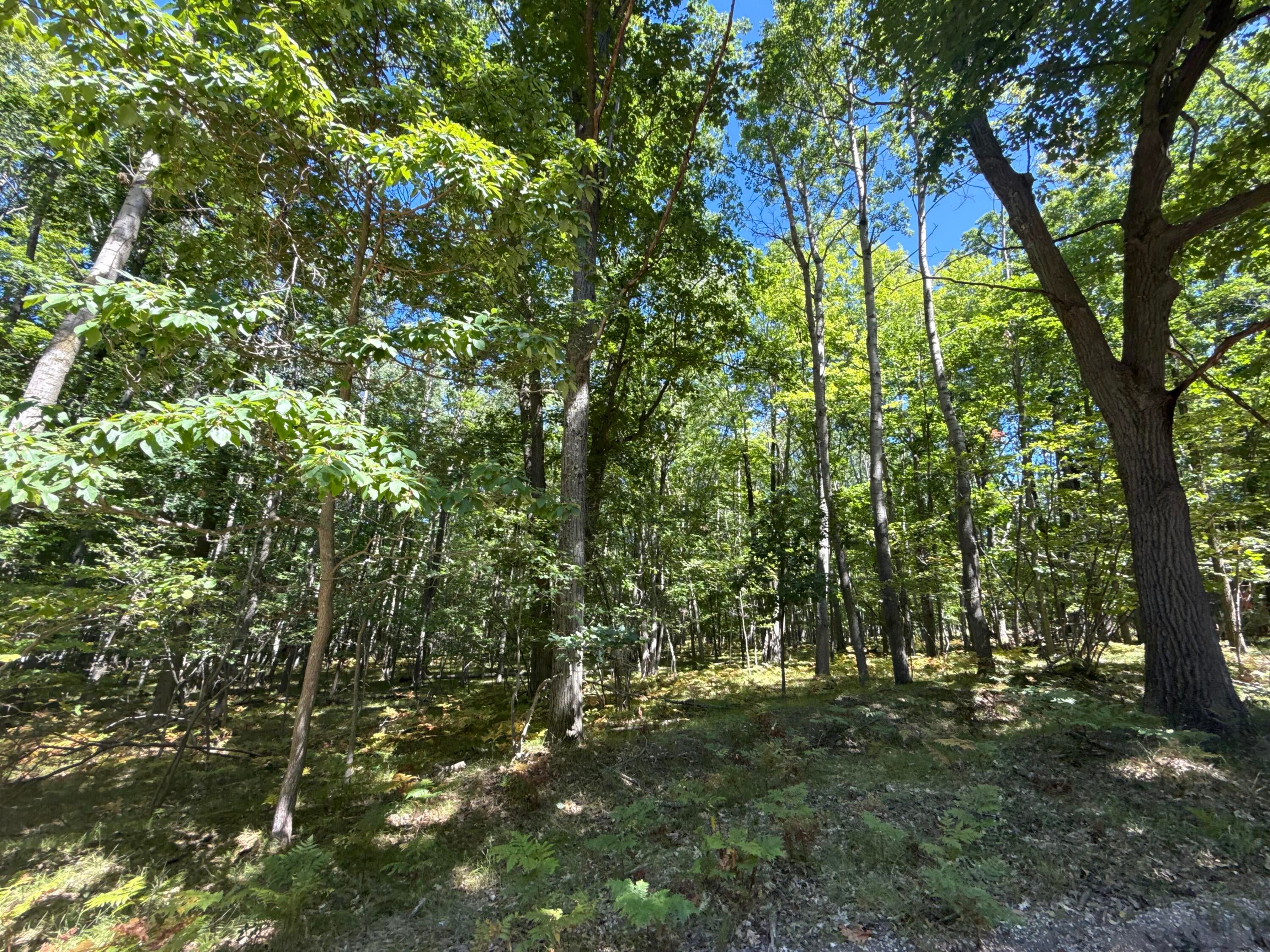 12090 Dubois Drive