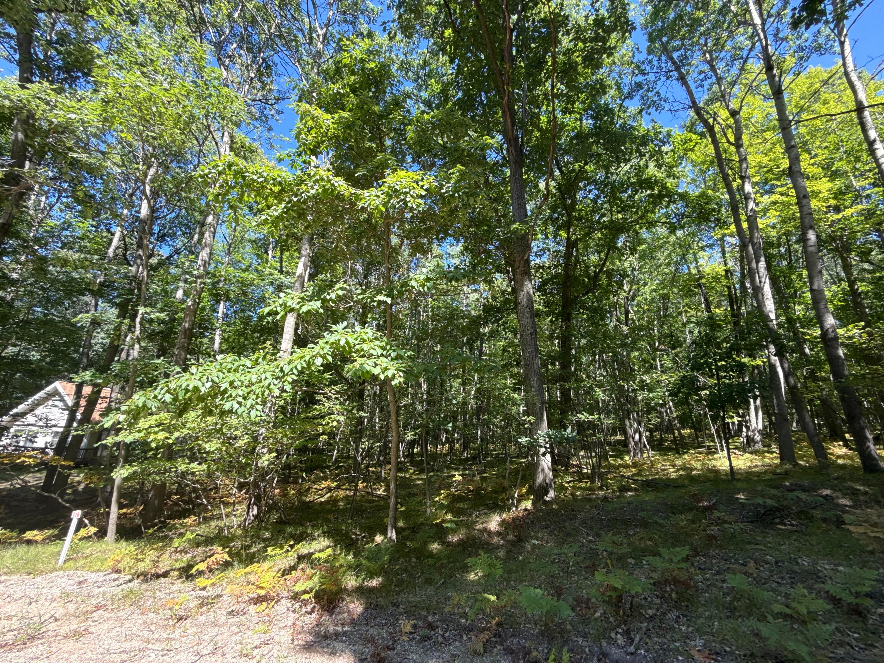 12090 Dubois Drive