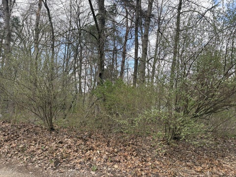 Photo for 8113 Poplar Drive