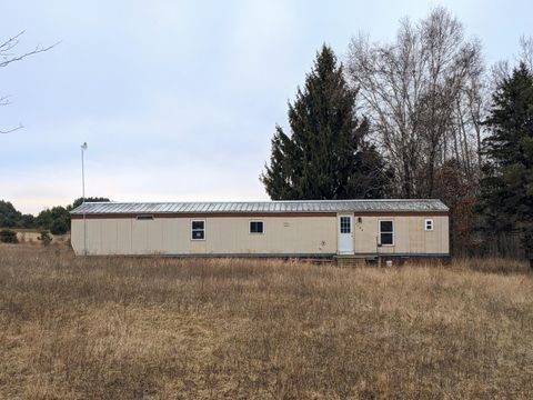 1595 N County Line Road, Six Lakes, MI 48886 - MLS#: 25016437