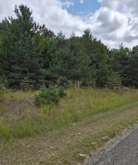 Photo of Adamson Lake Road, Kaleva, MI 49645 (MLS # 26045895)