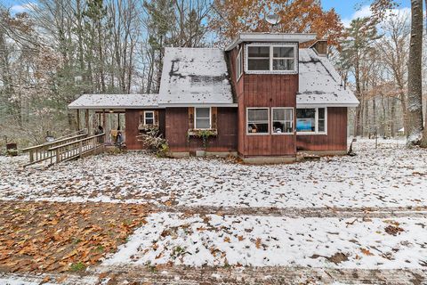 Photo of 3139 S White Oak Trail, Custer, MI 49405 (MLS # 25058374)